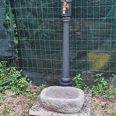 L'uliveto D'argento 3* פינאלה ליגורה