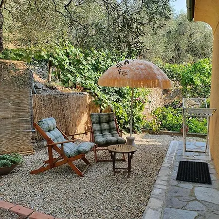 L'uliveto D'argento 3*