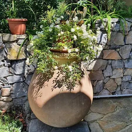 L'uliveto D'argento Bed and Breakfast Finale Ligure