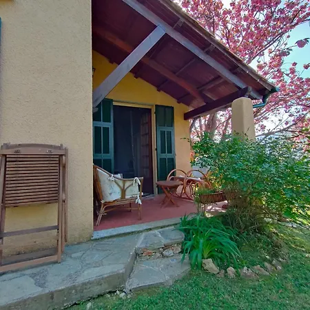 L'uliveto D'argento 3* Финале Лигуре