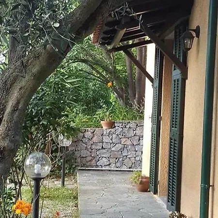 Bed and Breakfast L'uliveto D'argento