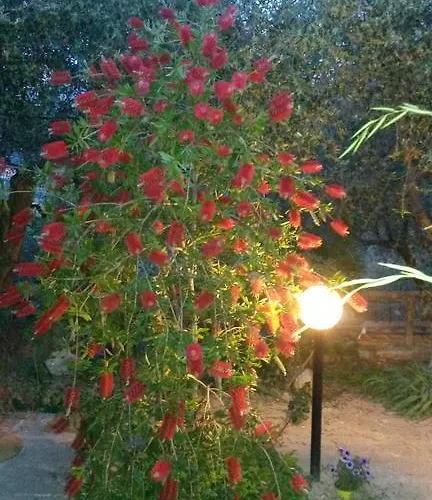 L'uliveto D'argento Отель типа 