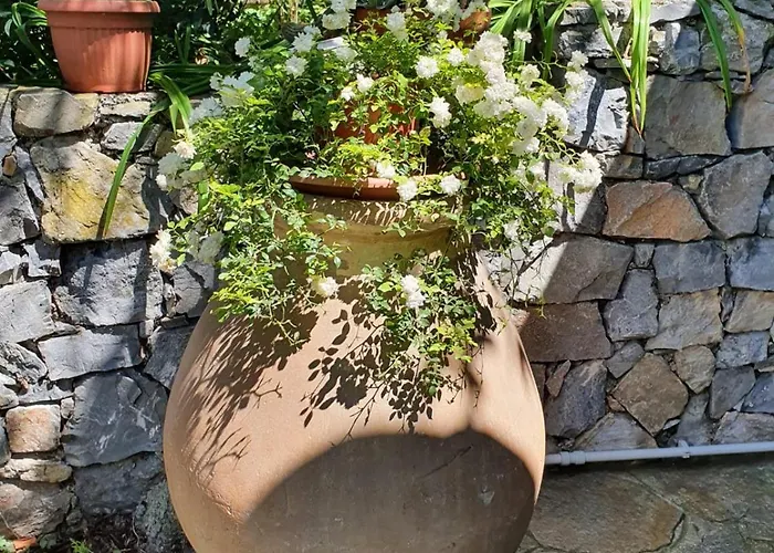 L'uliveto D'argento Отель типа 