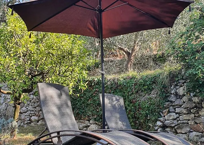 L'uliveto D'argento Отель типа 