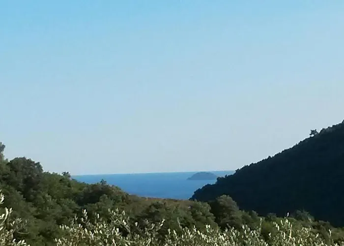 L'uliveto D'argento Отель типа 