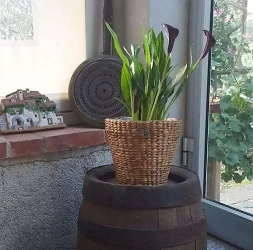 L'uliveto D'argento 3*