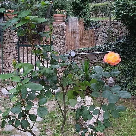 L'uliveto D'argento Bed & Breakfast Finale Ligure