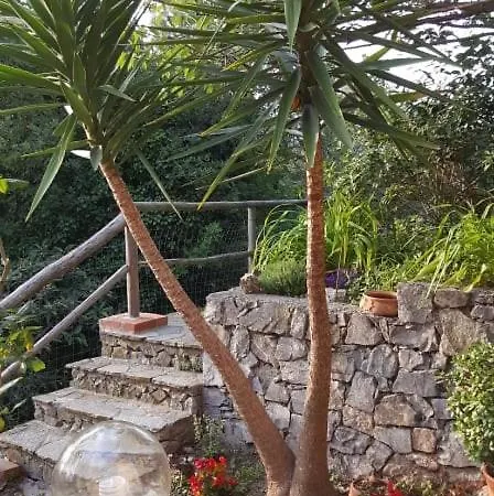 L'uliveto D'argento Oda ve Kahvaltı *