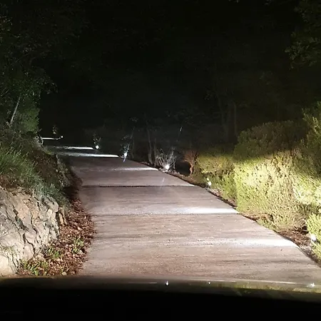 Panzió L'uliveto D'argento 3*