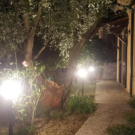 L'uliveto D'argento *