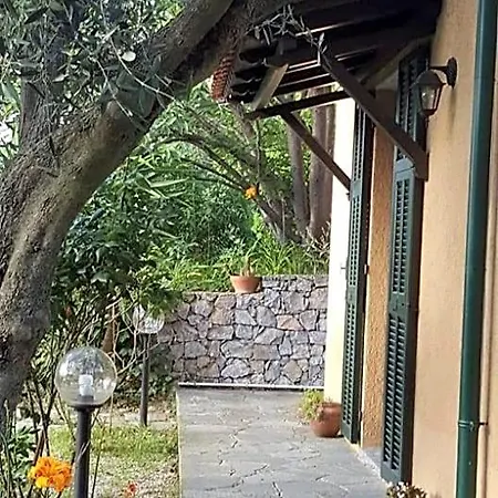 Panzió L'uliveto D'argento