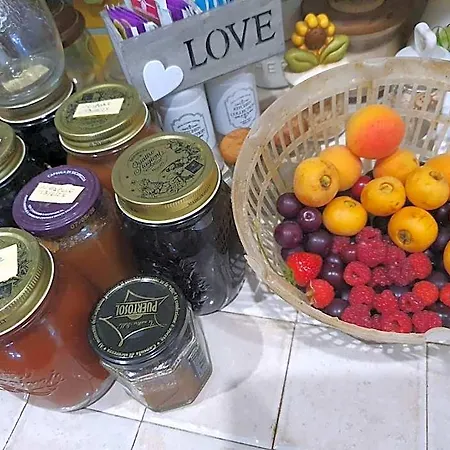 Bed & Breakfast L'uliveto D'argento
