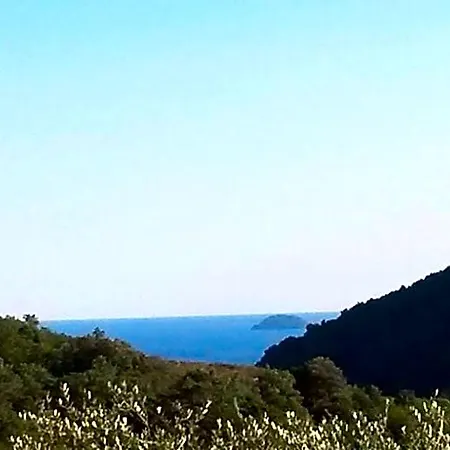 Alojamento de Acomodação e Pequeno-almoço L'uliveto D'argento 3*