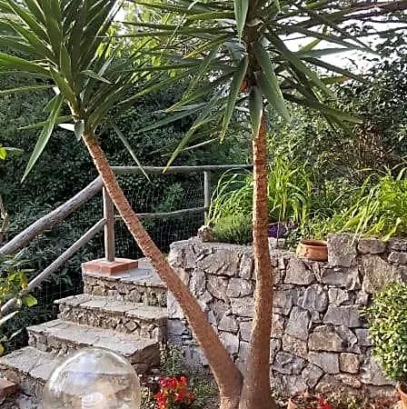 Frühstückspension L'uliveto D'argento Finale Ligure