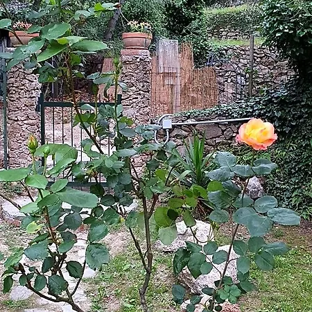 L'uliveto D'argento 3*