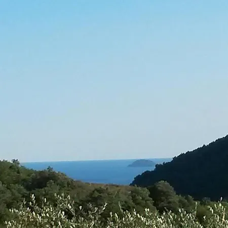 L'uliveto D'argento Frühstückspension Finale Ligure