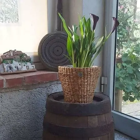 L'uliveto D'argento 3*