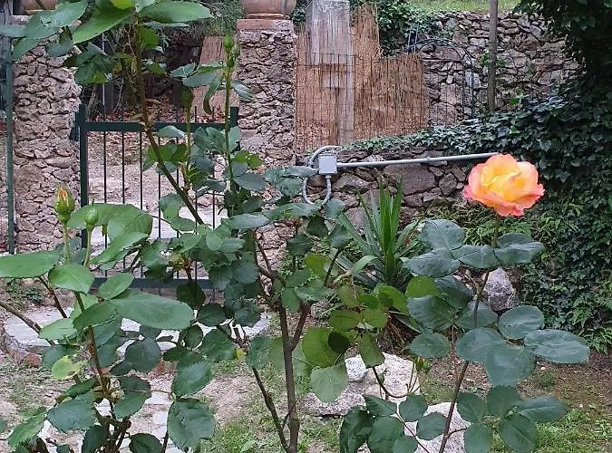 L'uliveto D'argento Bed & Breakfast Finale Ligure