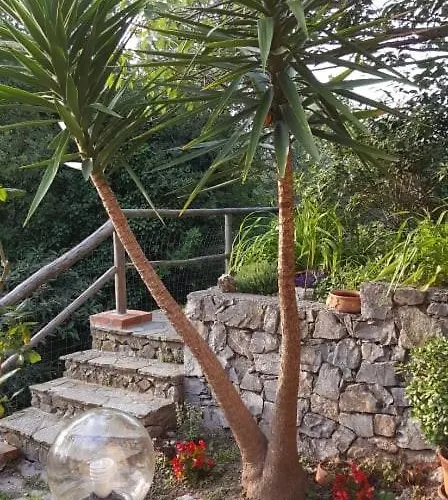 L'uliveto D'argento Bed & Breakfast 3*